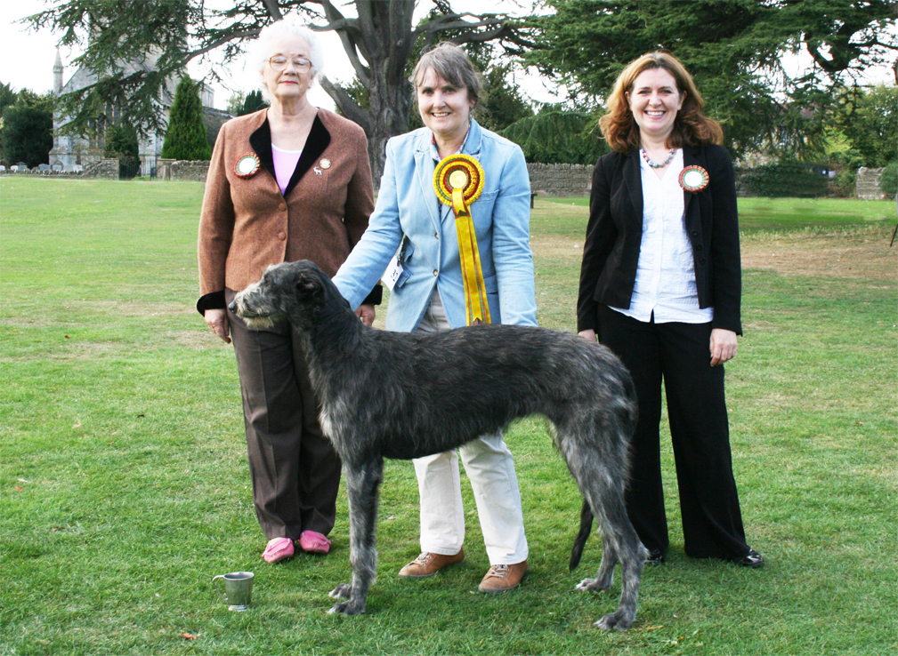 Best Puppies Limited Show 2010